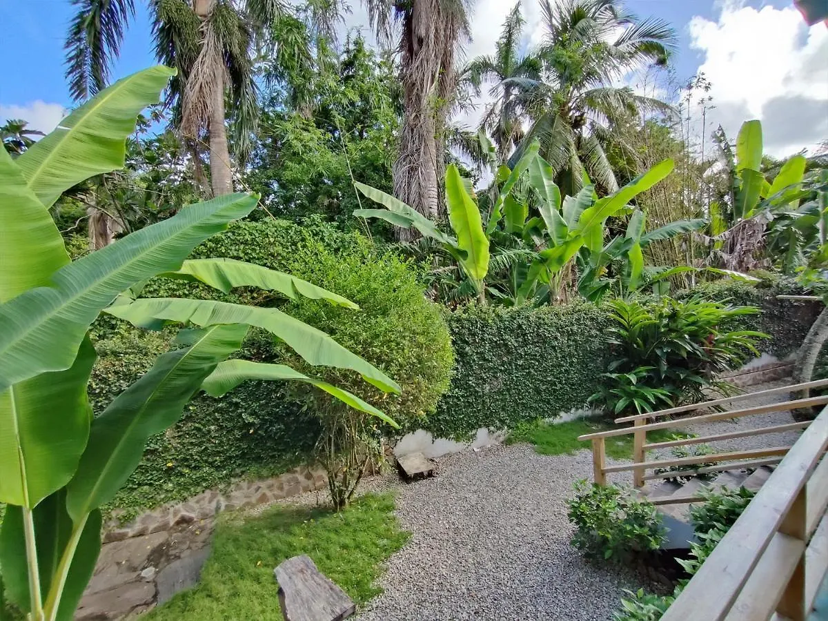 ***  Aparthotel House Jardin Del Caribe Las Terrenas Dominikanische Republik